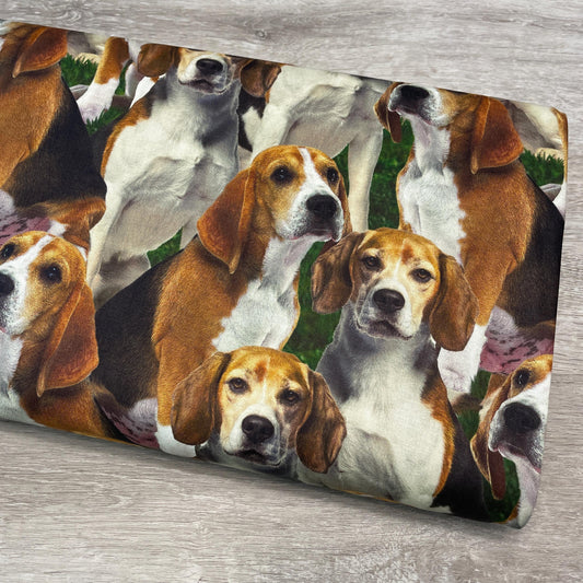 Dog fabric - Beagles - Foust Exclusive Print - 100% Cotton