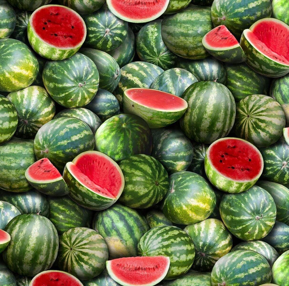 Watermelon Fabric - Food Festival collection - Elizabeth&#39;s Studio - 100% Cotton - Fruit Material Food Theme Picnic July 4th - Ships NEXT DAY