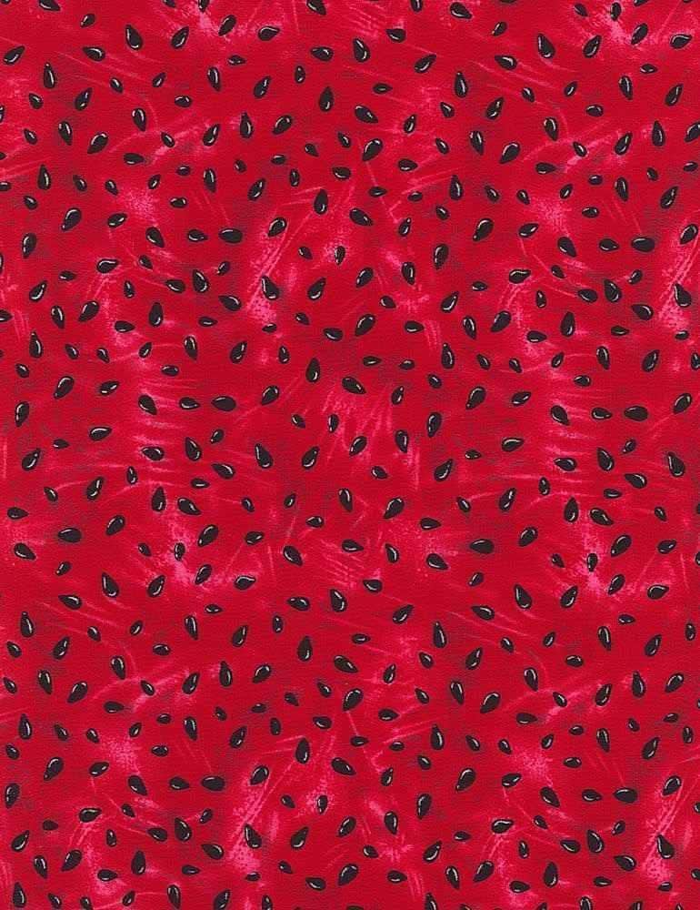 Watermelon Seed Fabric - Summer Picnic - Timeless Treasures - 100% Cotton - Fruit CD1173