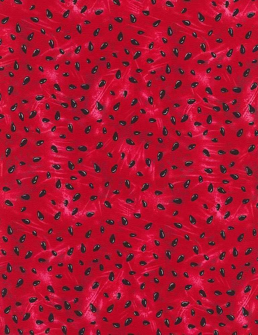 Watermelon Seed Fabric - Summer Picnic - Timeless Treasures - 100% Cotton - Fruit CD1173
