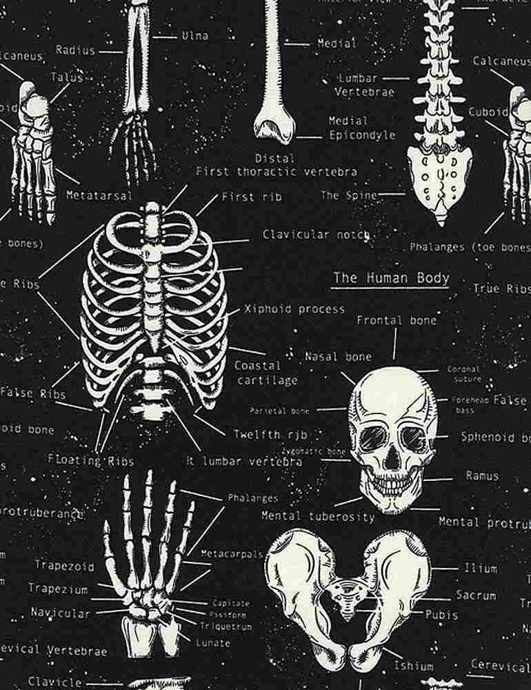 Skeleton Fabric - Anatomy - GLOW in the DARK - 100% Cotton- Medical fabric Doctor Nurse Bones