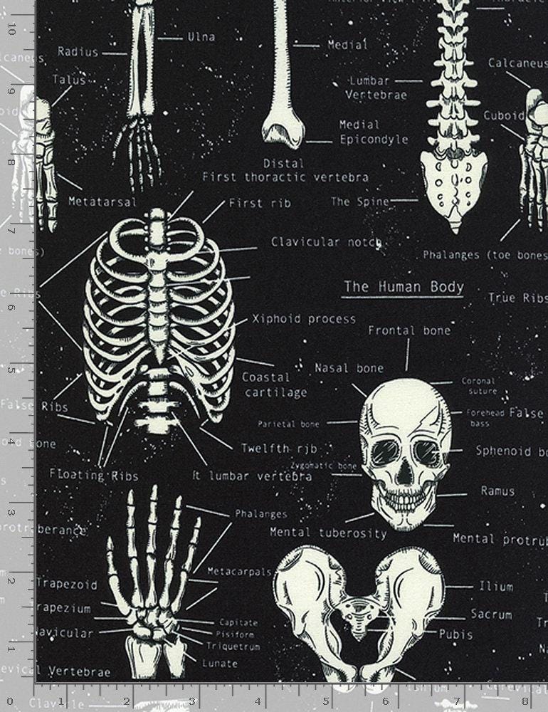 Skeleton Fabric - Anatomy - GLOW in the DARK - 100% Cotton- Medical fabric Doctor Nurse Bones