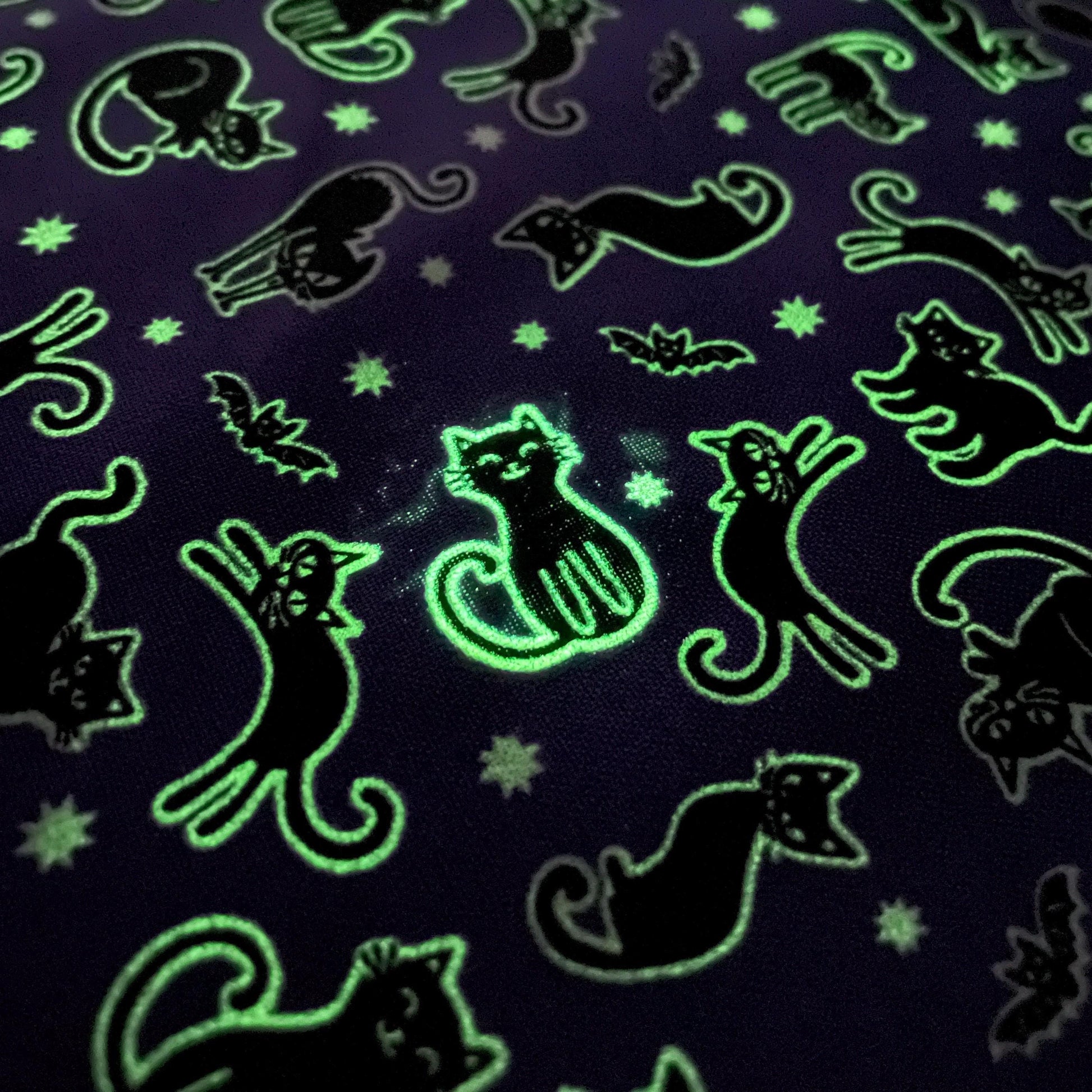 Scaredy Cats Fabric - Benartex Kanvas Studio- 100% Cotton