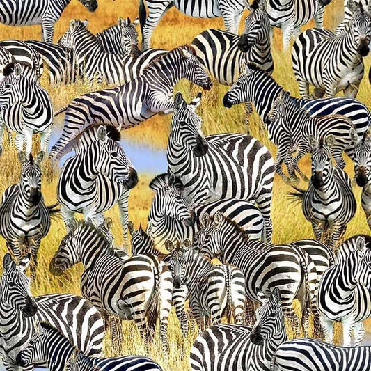 Zebra Fabric - Michael Miller - African Safari wilderness - Serengeti Plains - Savanna Dazzle
