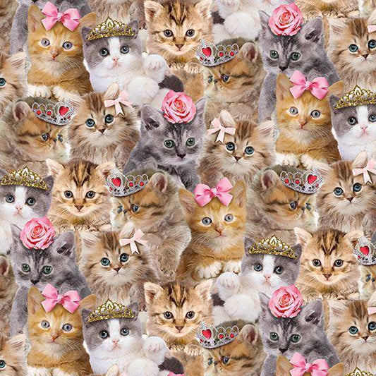 Kitten Fabric - Packed Princess Kitty - Timeless Treasures - 100% Cotton - Cat crown bow