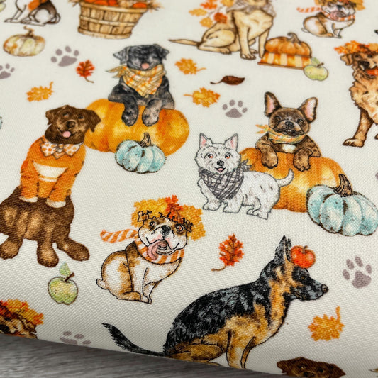 Robert Kaufman Fall Dog Fabric - Autumn Paws - 100% Cotton - Pumpkins