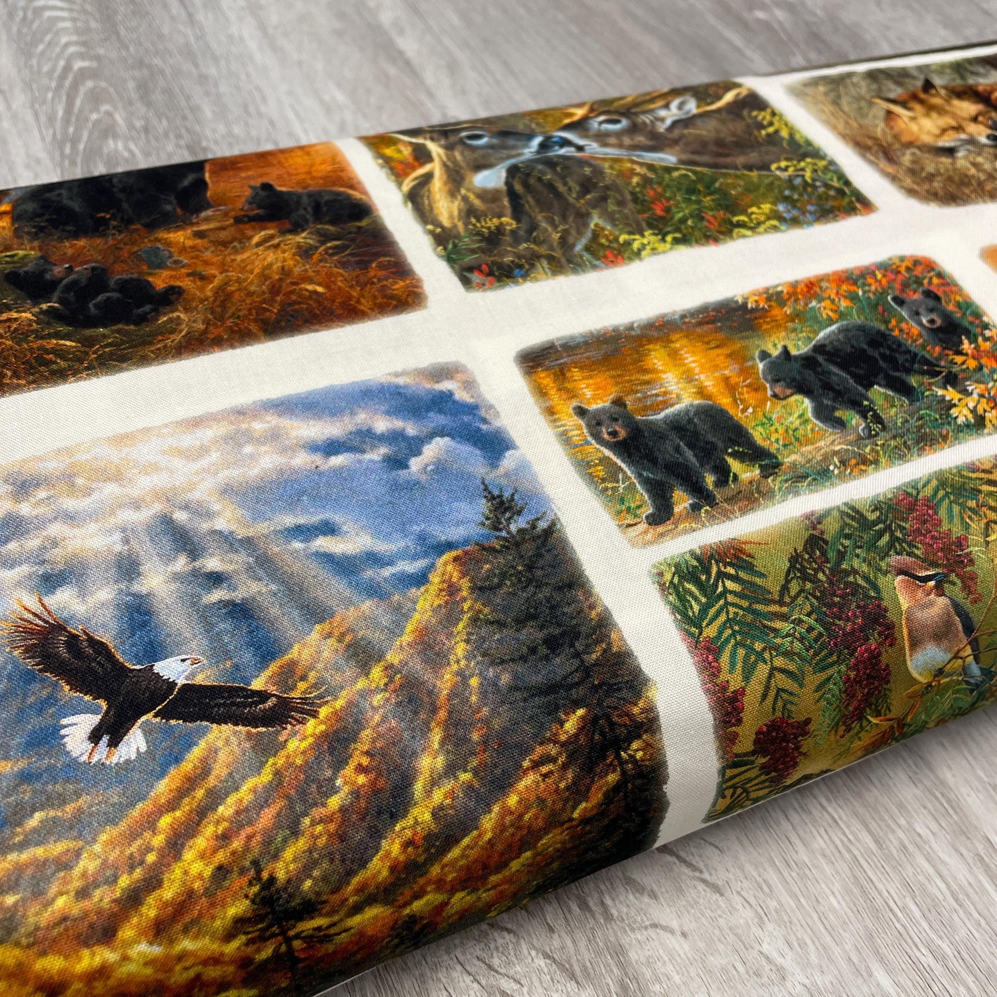 Forest Animal Fabric - Countryside Patch 22200-MLT - 3 Wishes - 100% Cotton Fabric - Whitetail Country - Bear Deer Fox Bird Eagle