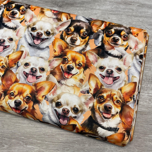 Chihuahua fabric - Foust Exclusive Print - 100% Cotton DX-4811-3C-1 Peach