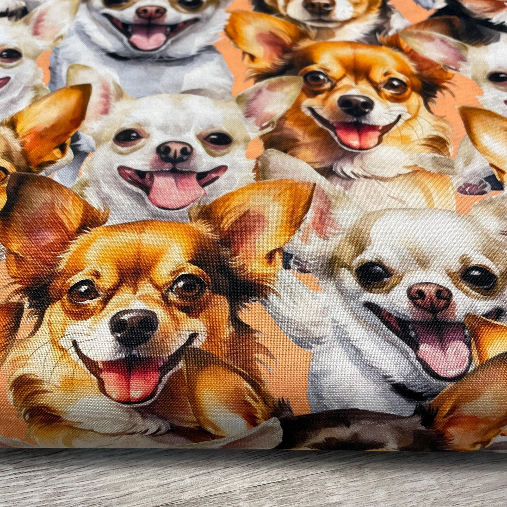 Chihuahua fabric - Foust Exclusive Print - 100% Cotton DX-4811-3C-1 Peach