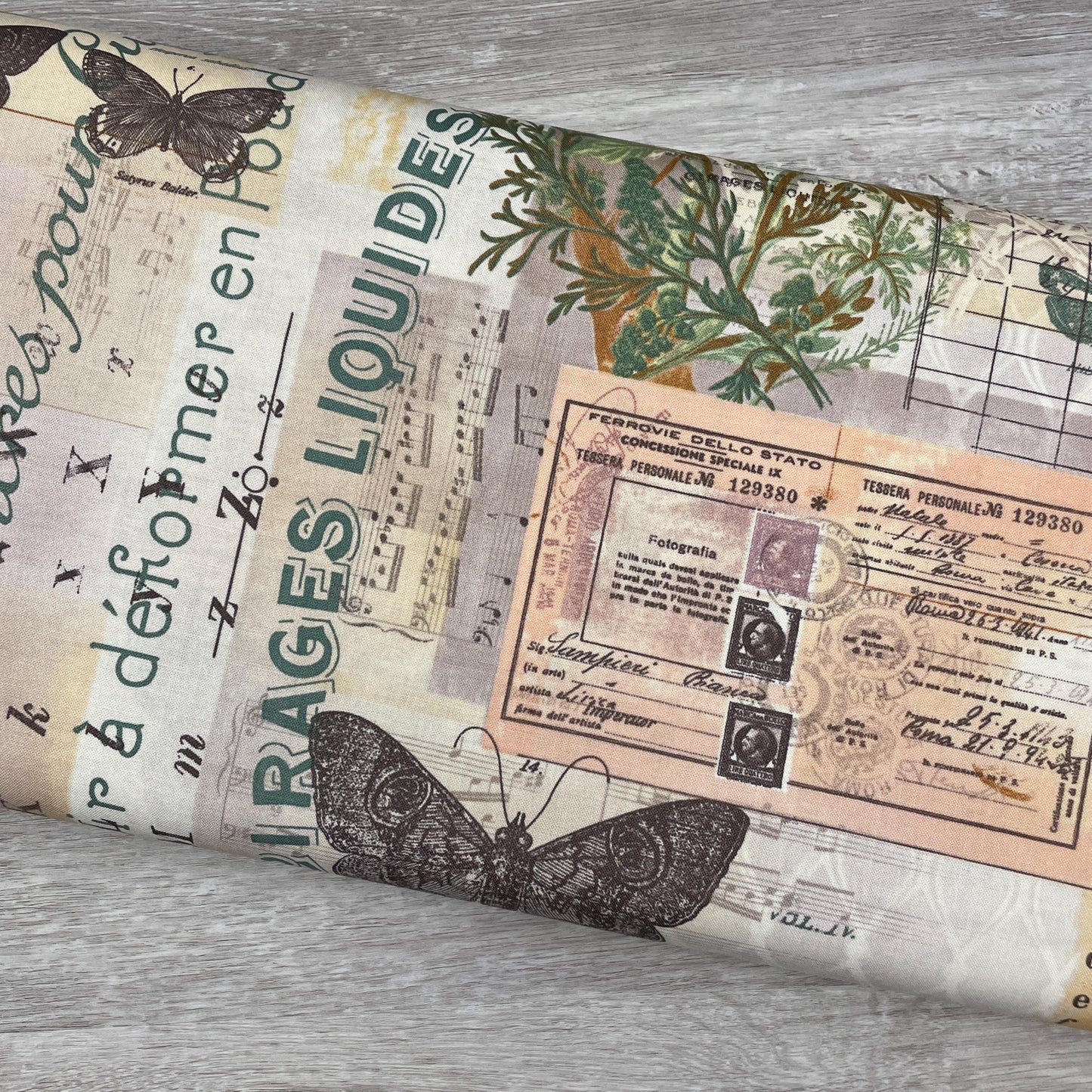 Tim Holtz Botanical - Multi - 100% Cotton Fabric - FreeSpirit - Eclectic Elements - Foundations Collection