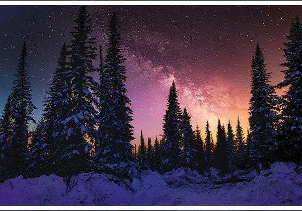 Twilight Nightshade Fabric Panel 42&quot; x 29&quot; - 100% Cotton - Hoffman Spectrum Digital Print - Night Sky Tree Snow Fabric - SHIPS NEXT DAY
