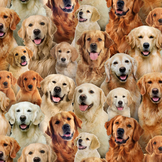 Golden Retriever Fabric - Elizabeth's Studio - 100% Cotton Fabric - dog