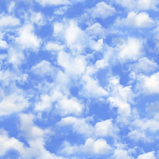 Blue Sky Fabric - Timeless Treasures - 100% Cotton - SKY-CD3837 BLUE - Clouds