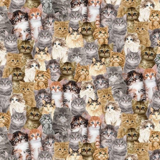 Cat Fabric - Packed Realistic Cats - Timeless Treasures - You had me at Meow - 100% Cotton - Kitty Kitten material - Ships NEXT DAY