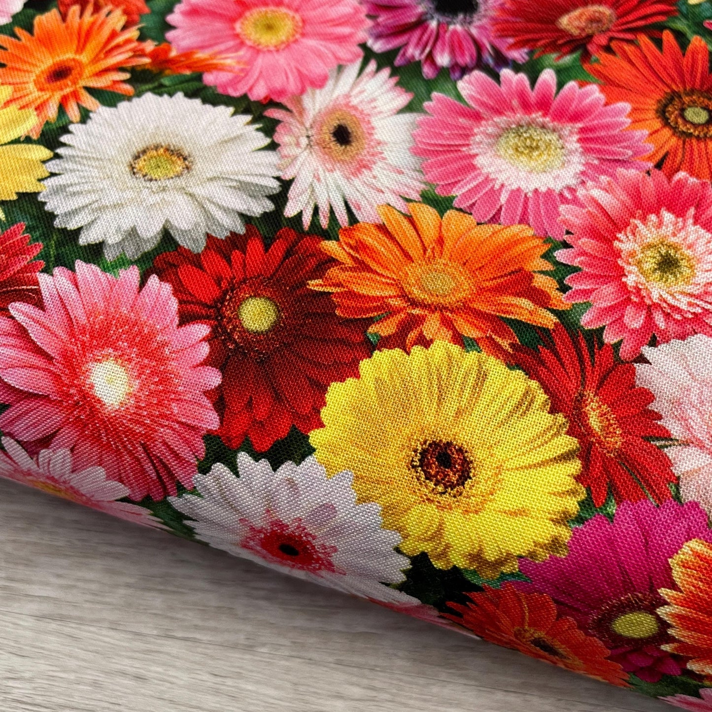Gerbera Daisy Flower Fabric - Elizabeth's Studio - 100% cotton - Burst of Color 700-MULTI