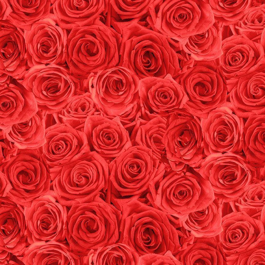 Red Rose Fabric - Timeless Treasures - 100% Cotton Fabric - Rendezvous Collection