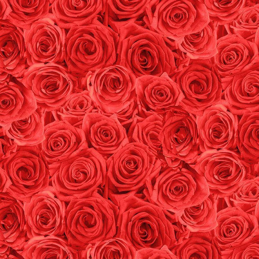 Red Rose Fabric - Timeless Treasures - 100% Cotton Fabric - Rendezvous Collection