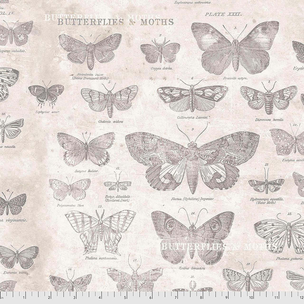Tim Holtz Butterflies - Parchment - 100% Cotton Fabric - FreeSpirit - Eclectic Elements - Monochrome Collection