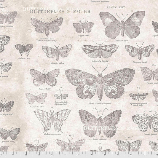 Tim Holtz Butterflies - Parchment - 100% Cotton Fabric - FreeSpirit - Eclectic Elements - Monochrome Collection