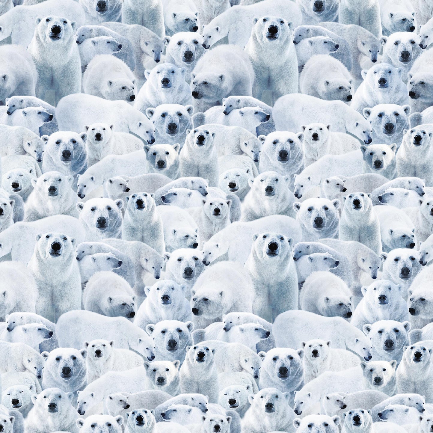 Polar Bear Fabric - 100% Cotton - Windham Fabrics - Winter Animals - 55033D-1