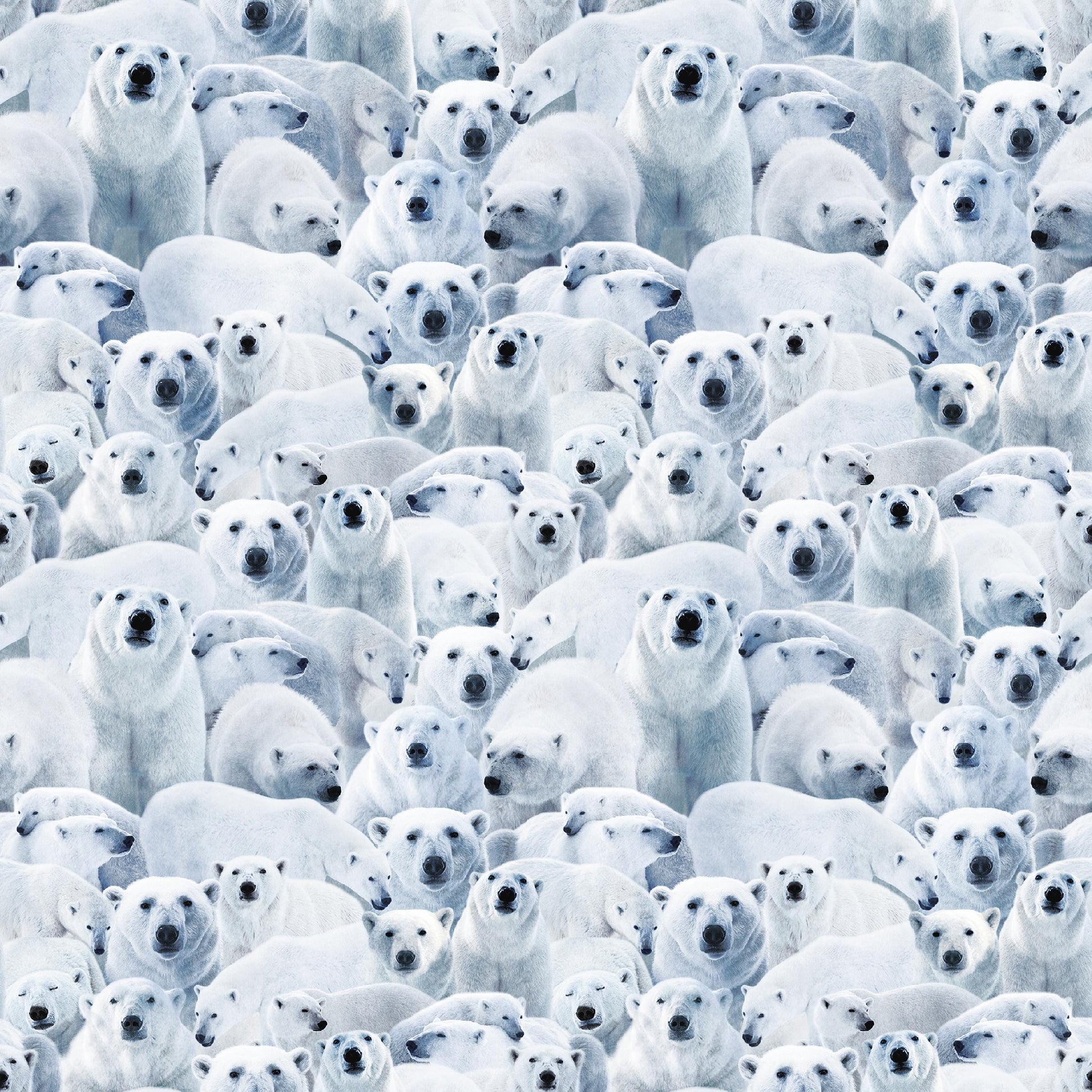 Polar Bear Fabric - 100% Cotton - Windham Fabrics - Winter Animals - 55033D-1
