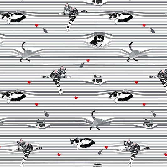 Cat fabric - Peekaboo Shade Cats - 100% Cotton - Timeless Treasures - Window Blinds