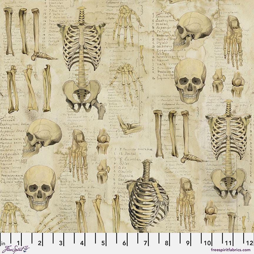 Tim Holtz Anatomy Fabric - 100% Cotton - FreeSpirit - Eclectic Elements - Foundations Collection - Skeleton Bones