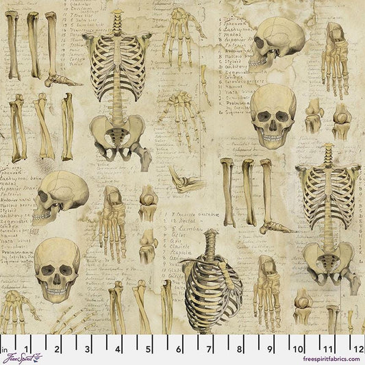 Tim Holtz Anatomy Fabric - 100% Cotton - FreeSpirit - Eclectic Elements - Foundations Collection - Skeleton Bones