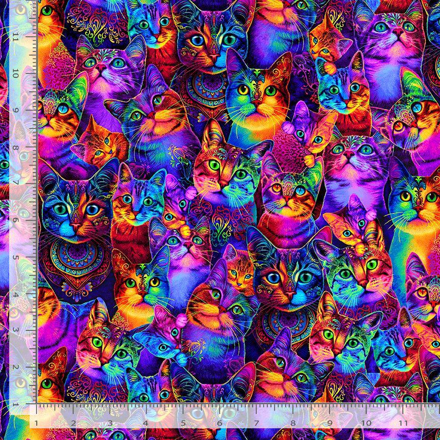 Rainbow Cat Fabric - Timeless Treasures - 100% Cotton - CD3031