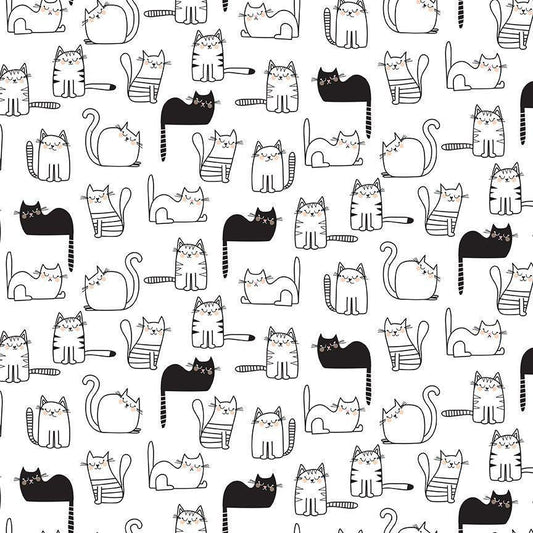 Black and white cat fabric - 100% Cotton - Timeless Treasures - CD2571