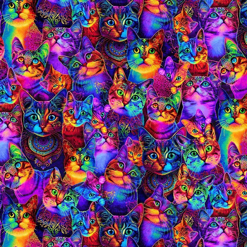 Rainbow Cat Fabric - Timeless Treasures - 100% Cotton - CD3031