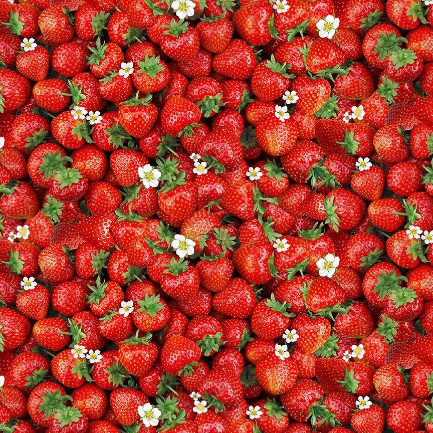 Strawberry Fabric - 100% Cotton - Timeless Treasures CD3403