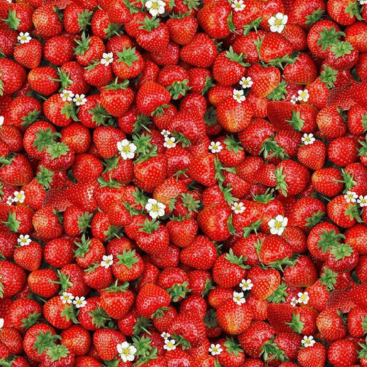 Strawberry Fabric - 100% Cotton - Timeless Treasures CD3403