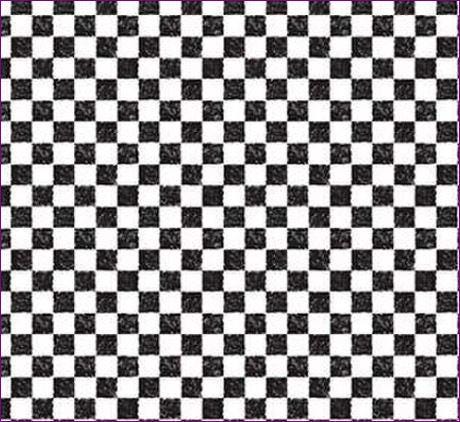 Mottled Check fabric - 1/4" check - 100% cotton - Riley Blake C820