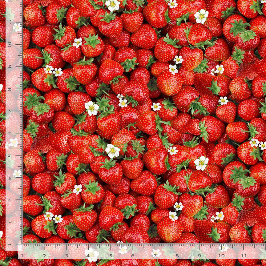Strawberry Fabric - 100% Cotton - Timeless Treasures CD3403