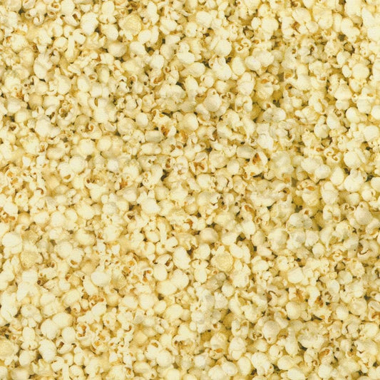 Popcorn fabric - Feast Mode - Robert Kaufman - 100% Cotton - SRKD-23901-14