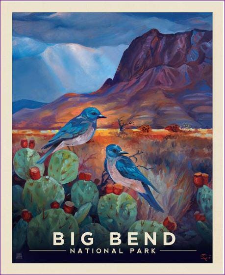 National Parks Big Bend Fabric Panel - 36" x 43" - 100% Cotton - Riley Blake - PD15097