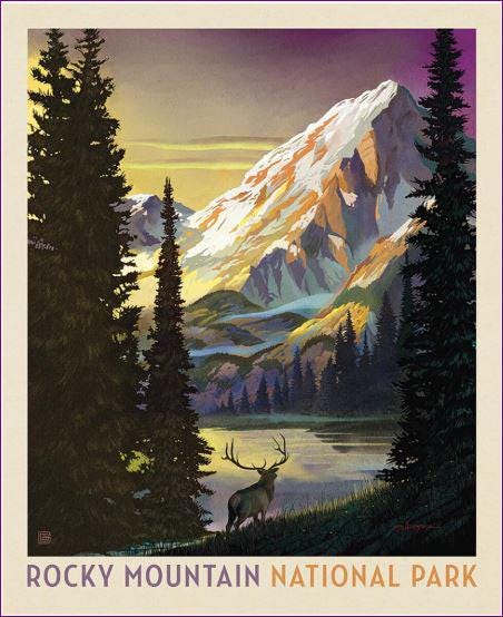 National Parks Rocky Mountain Fabric Panel - 36" x 43" - 100% Cotton - Riley Blake - PD16134