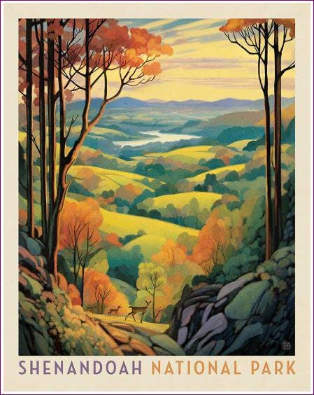 National Parks Shenandoah Fabric Panel - 36" x 43" - 100% Cotton - Riley Blake - PD16135