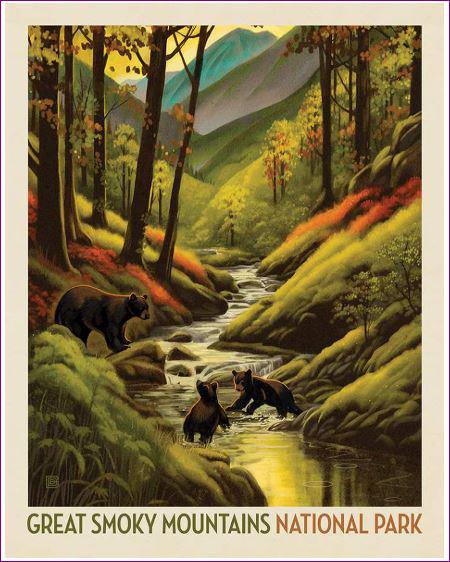 National Parks Great Smoky Mountains Fabric Panel - 36" x 43" - 100% Cotton - Riley Blake - PD16132