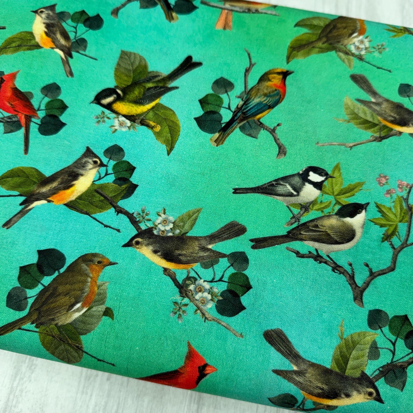 Bird Fabric - 100% Cotton - 4620-67 Jade - Blank Quilting