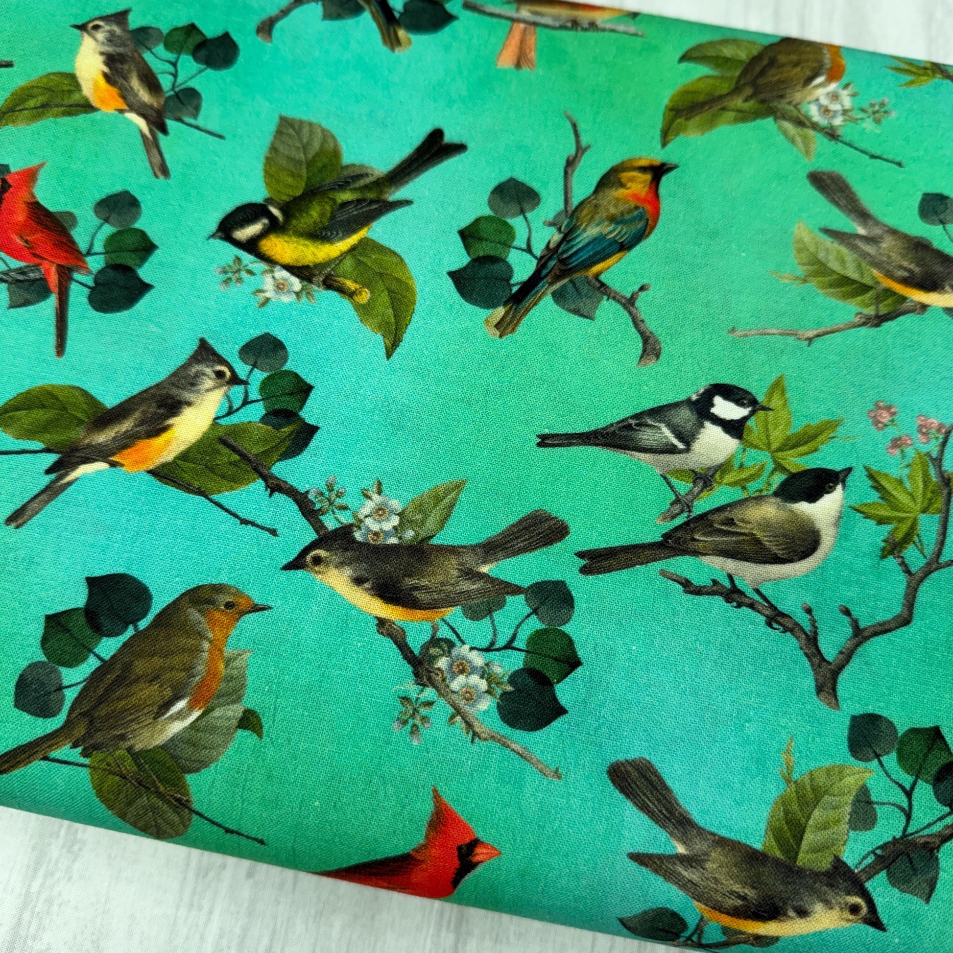 Bird Fabric - 100% Cotton - 4620-67 Jade - Blank Quilting