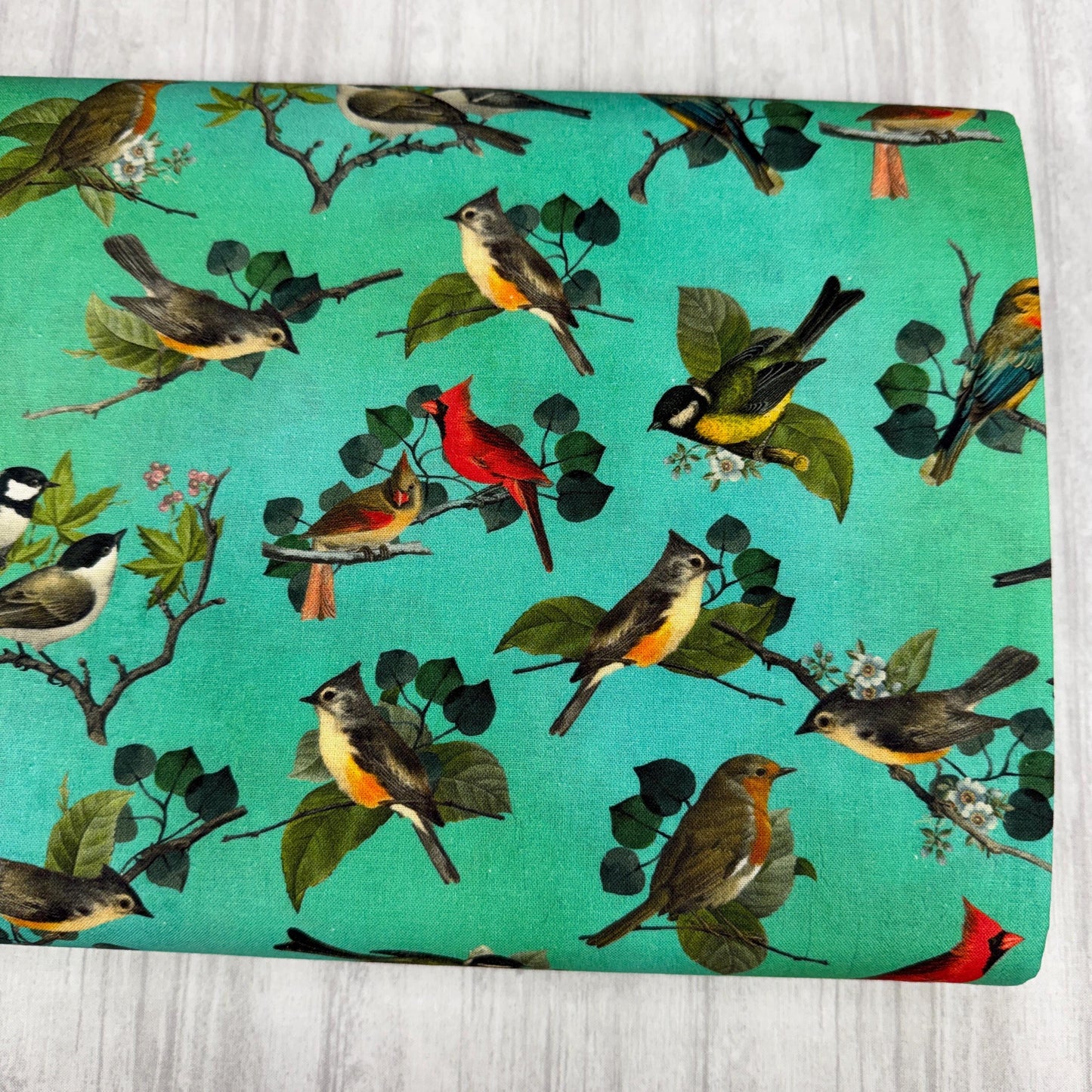 Bird Fabric - 100% Cotton - 4620-67 Jade - Blank Quilting