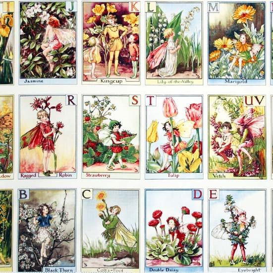 Alphabet Fairy Fabric Panel - 44" W x 23.5" L - Michael Miller - 100% Cotton