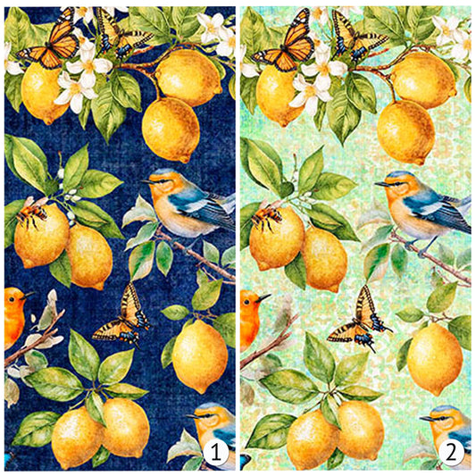 Lemons and Birds Fabric - Citrus Bliss - QT - 100% cotton