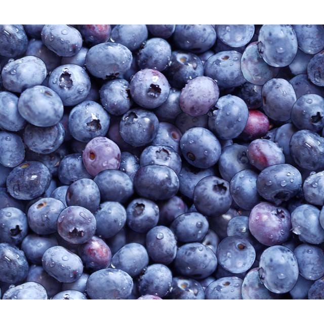 Blueberry Fabric - Berry Good 509 Blue - 100% Cotton - Elizabeth's Studio