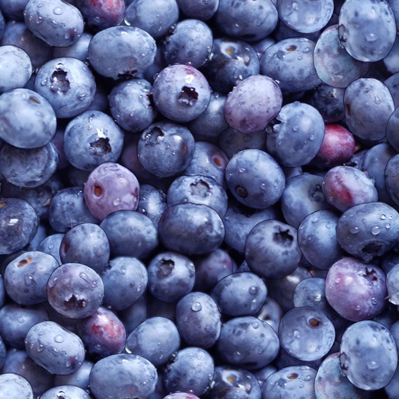 Blueberry Fabric - Berry Good 509 Blue - 100% Cotton - Elizabeth's Studio