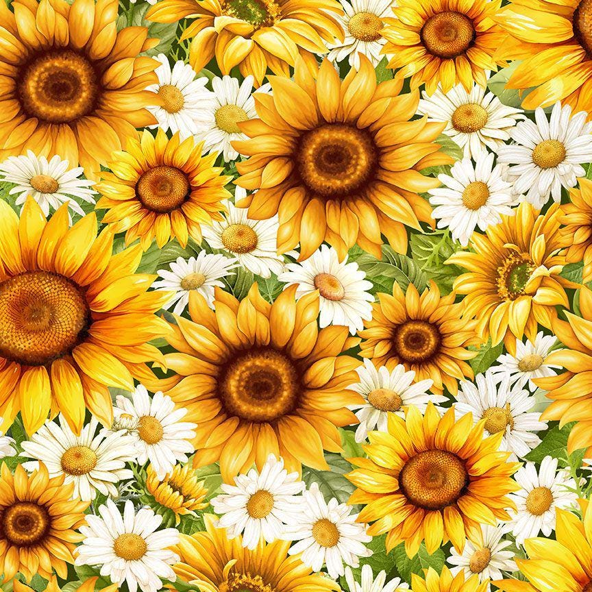 Daisies and Sunflowers Fabric - Timeless Treasures - 100% Cotton - CD3883
