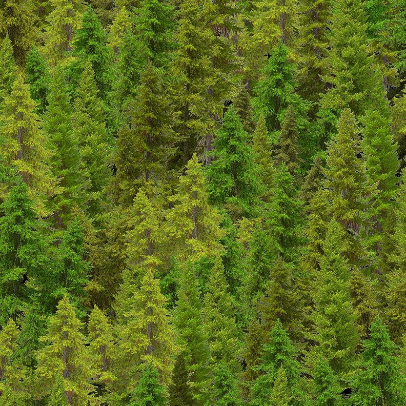 Evergreen Forest Fabric - 100% Cotton - Timeless Treasures - CD3831
