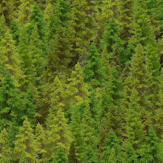 Evergreen Forest Fabric - 100% Cotton - Timeless Treasures - CD3831